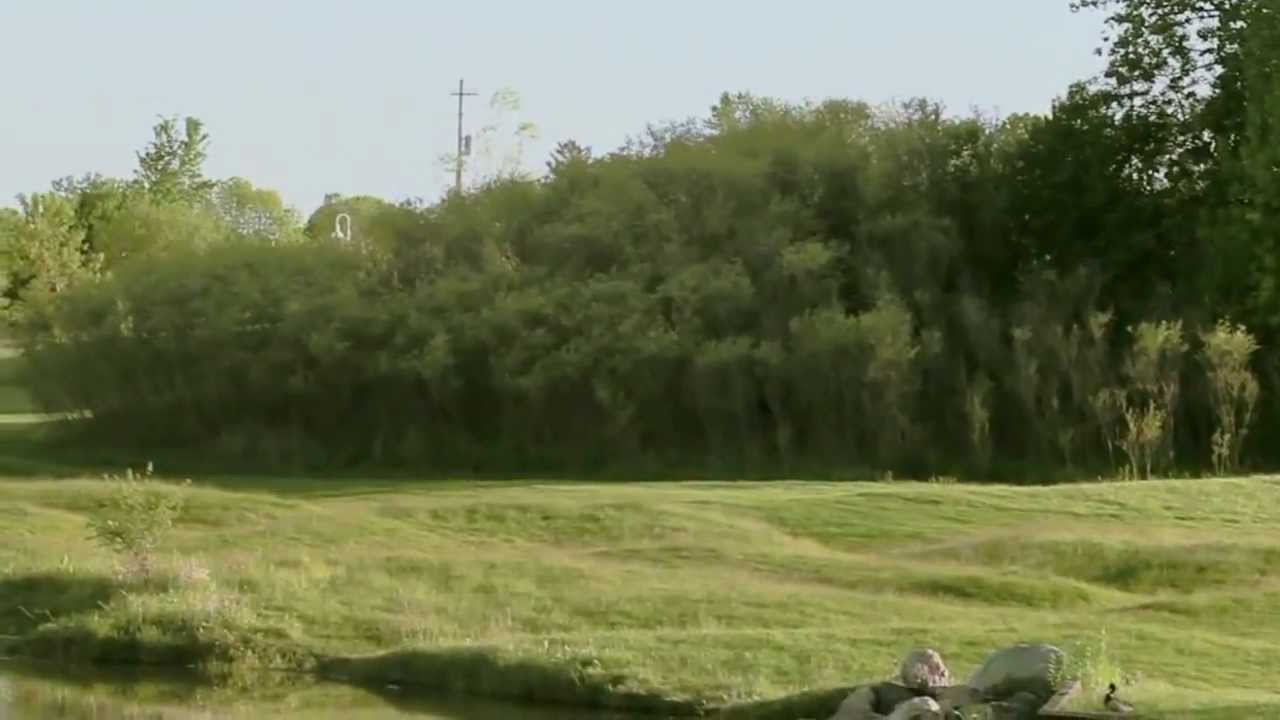 Missing Links Mequon Golf Par 3 And Driving Range