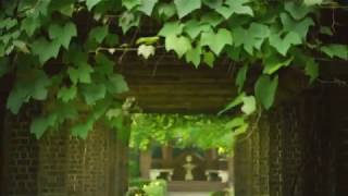 South Bend Mishawaka Arts & Culture Destination